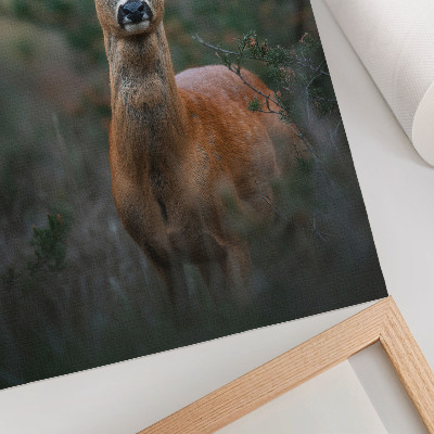 Wandposter Hirsche im Wald, grüner Hintergrund, friedliche Natur