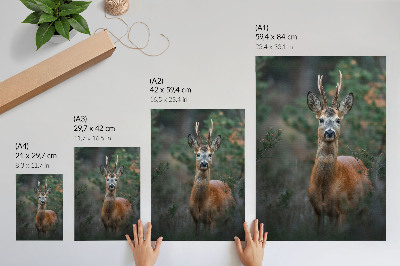 Wandposter Hirsche im Wald, grüner Hintergrund, friedliche Natur