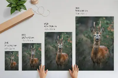 Wandposter Hirsche im Wald vor einem grünen Hintergrund in friedlicher Natur