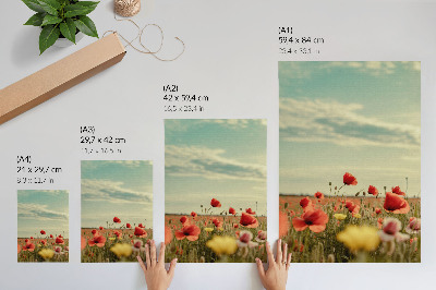 Wandposter Ein Mohnfeld unter blauem Himmel, pastellfarbene Eleganz