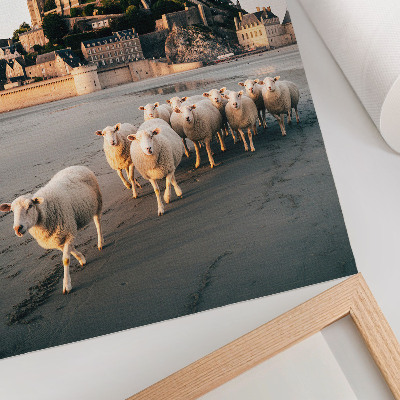 Wandposter Burg, Hügel, Schafe, Sand, friedliche Atmosphäre