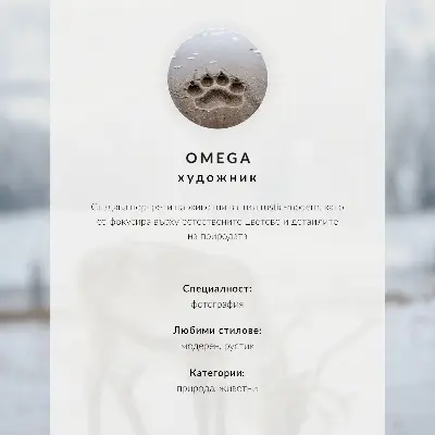 Poster mit einem Porträt eines fröhlichen Fuchses in winterlicher Umgebung