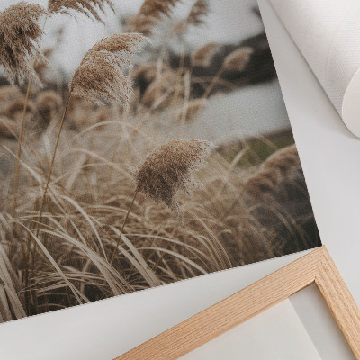 Poster Zarte Grashalme, braungraue Naturatmosphäre