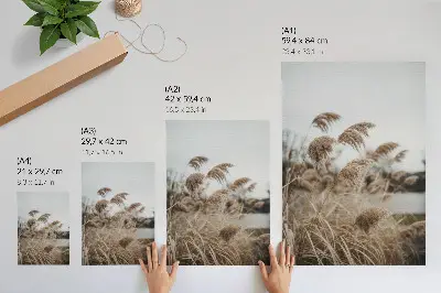 Poster zarte Grashalme in braungrauer Naturatmosphäre