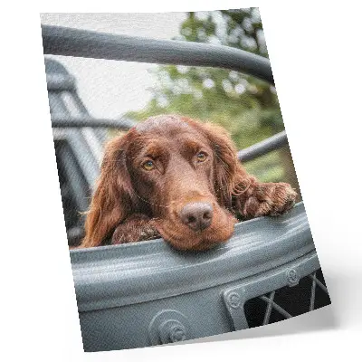 Kunstdruck auf Leinwand brauner Hund neben dem Fahrzeug mit grünen Bäumen