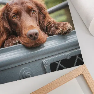 Kunstdruck auf Leinwand brauner Hund neben dem Fahrzeug mit grünen Bäumen