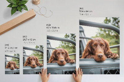 Kunstdruck leinwand Brauner Hund neben dem Fahrzeug, grüne Bäume