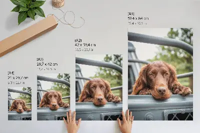 Kunstdruck auf Leinwand brauner Hund neben dem Fahrzeug mit grünen Bäumen
