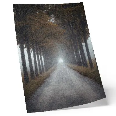 Kunstdruck auf Leinwand herbstlicher Nebel in einer Gasse mit symmetrischer und harmonischer Komposition