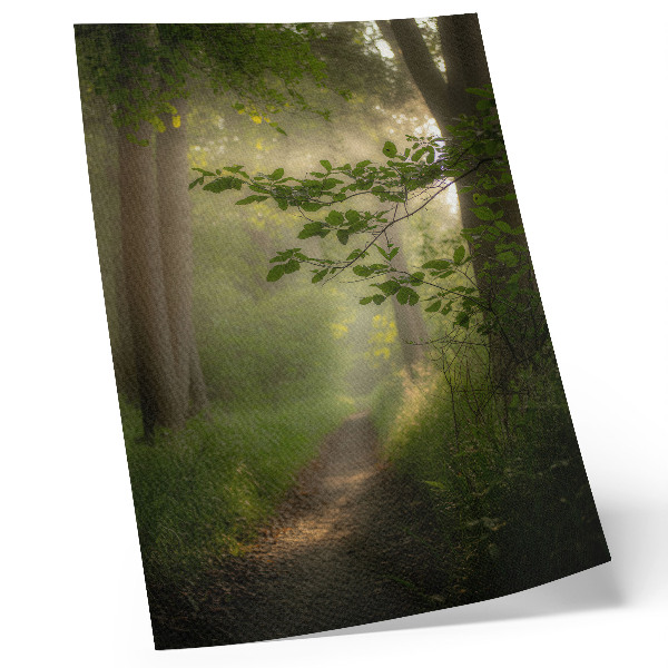 Wandposter Grüne Blätter, Lichtstrahl, Waldweg