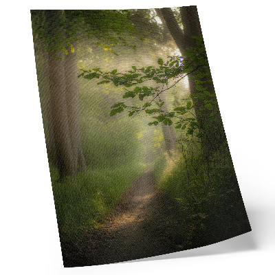 Wandposter Grüne Blätter, Lichtstrahl, Waldweg