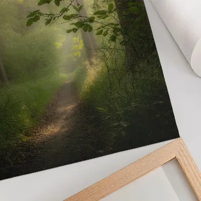 Wandposter grüne Blätter mit Lichtstrahl im Wald