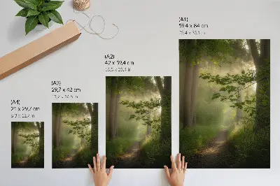 Wandposter grüne Blätter mit Lichtstrahl im Wald