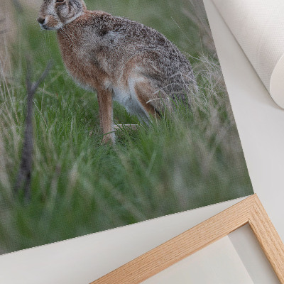Kunstdruck leinwand Ein Hase im Gras, umgeben von Ästen und Grünzeug