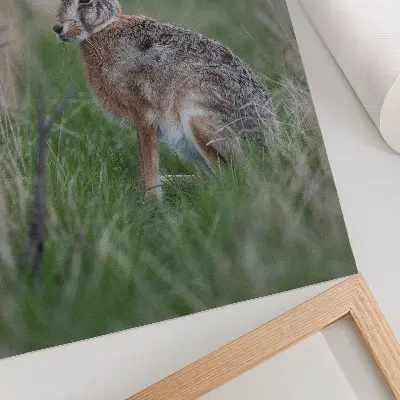Kunstdruck auf Leinwand ein Hase inmitten von Ästen und Gras