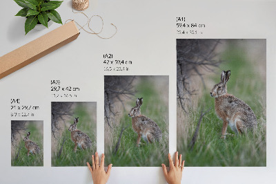 Kunstdruck leinwand Ein Hase im Gras, umgeben von Ästen und Grünzeug