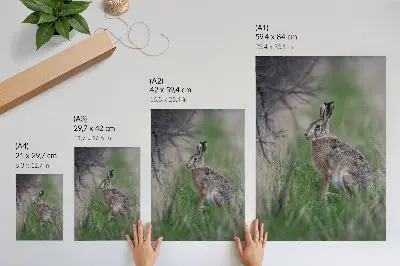 Kunstdruck auf Leinwand ein Hase inmitten von Ästen und Gras
