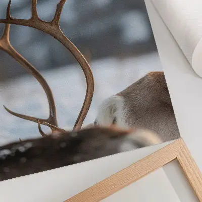 Poster Rentiere mit Geweihen in einer harmonischen Winterlandschaft