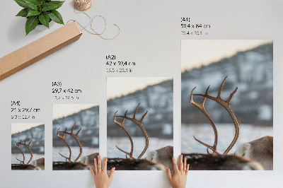 Poster Rentiere mit Geweihen – Harmonie in der Winterlandschaft