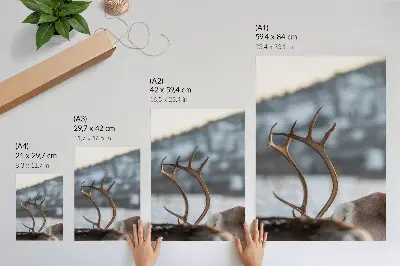 Poster Rentiere mit Geweihen in einer harmonischen Winterlandschaft