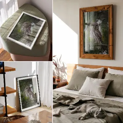 Kunstdruck auf Leinwand Eule auf einem Kiefernzweig für Naturfrieden und Harmonie