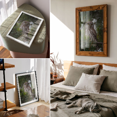 Kunstdruck leinwand Eule auf einem Kiefernzweig, Naturfrieden, Harmonie