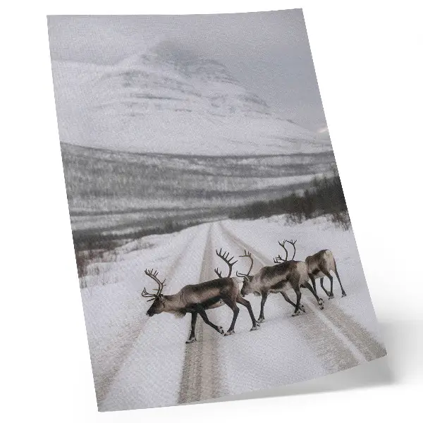 Wandposter Rentiere auf einer verschneiten Straße in den Bergen als Winterkulisse