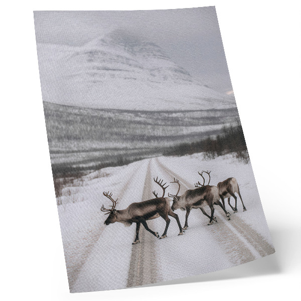 Wandposter Rentiere auf einer verschneiten Straße in den Bergen, Winterkulisse