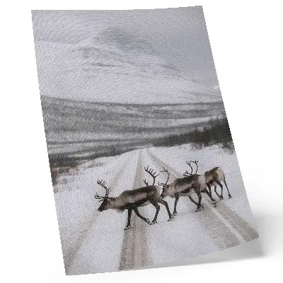 Wandposter Rentiere auf einer verschneiten Straße in den Bergen als Winterkulisse