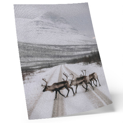Wandposter Rentiere auf einer verschneiten Straße in den Bergen, Winterkulisse
