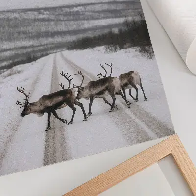 Wandposter Rentiere auf einer verschneiten Straße in den Bergen als Winterkulisse