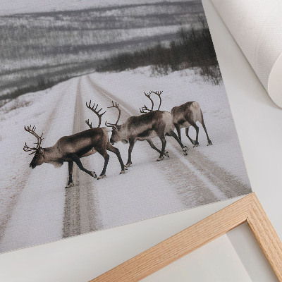 Wandposter Rentiere auf einer verschneiten Straße in den Bergen, Winterkulisse