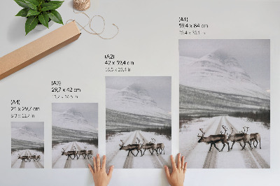Wandposter Rentiere auf einer verschneiten Straße in den Bergen, Winterkulisse