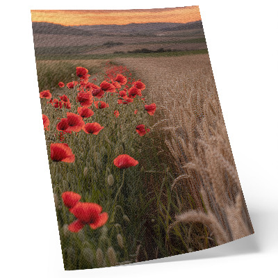 Wandposter Mohnblumen im Sonnenuntergang – harmonische Farben der Natur