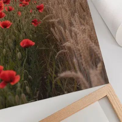 Wandposter Mohnblumen im Sonnenuntergang mit harmonischen Farben der Natur