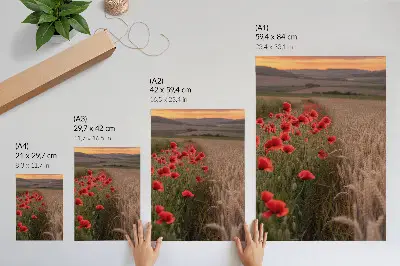 Wandposter Mohnblumen im Sonnenuntergang mit harmonischen Farben der Natur