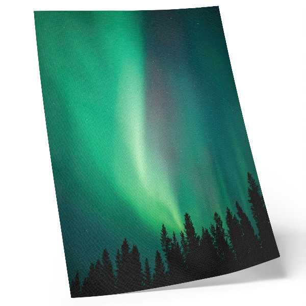 Poster Aurora grüne Bäume Nacht magische Natur