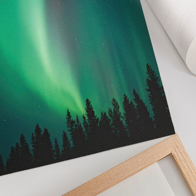 Poster Aurora grüne Bäume Nacht magische Natur