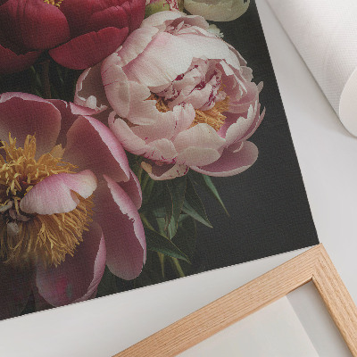 Wandposter Bunte Pfingstrosen auf dunklem Hintergrund