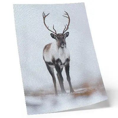 Wandposter Rentiere in einer schneebedeckten Landschaft mit warmen Farbtönen