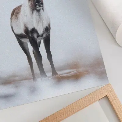 Wandposter Rentiere in einer schneebedeckten Landschaft mit warmen Farbtönen