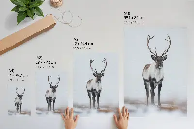 Wandposter Rentiere in einer schneebedeckten Landschaft mit warmen Farbtönen