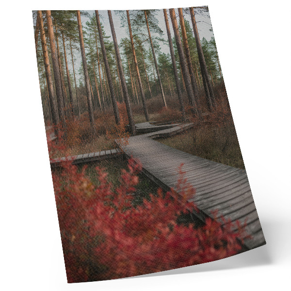 Wandposter Holzweg, Wald, Bäume, Herbstfarben