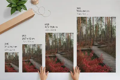 Wandposter Holzweg im Wald mit Bäumen in Herbstfarben