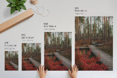Wandposter Holzweg, Wald, Bäume, Herbstfarben