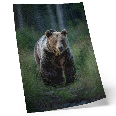 Kunstdruck leinwand Ein stolzer Bär in einer Waldumgebung