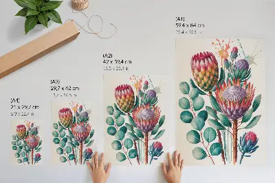 Wandposter mit exotischen Protea-Blüten und grünen Blättern