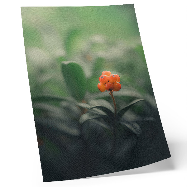 Poster Orangefarbene Beeren auf grünem Hintergrund