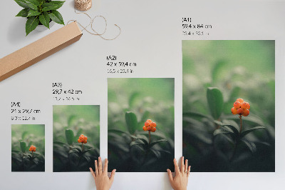 Poster Orangefarbene Beeren auf grünem Hintergrund