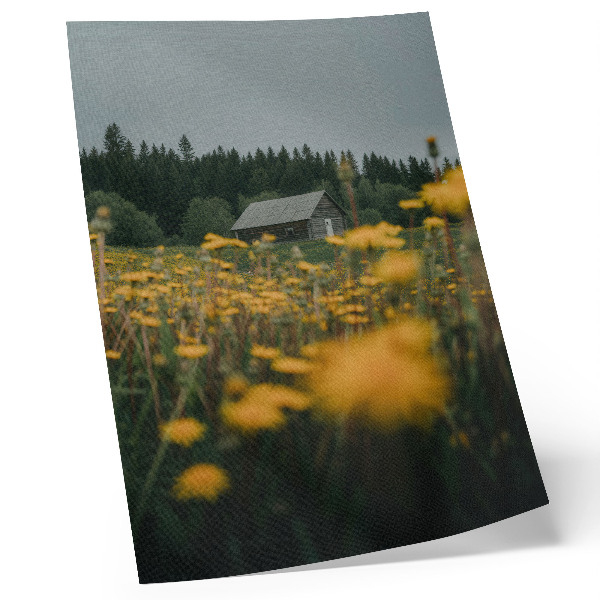 Kunstdruck leinwand Rustikaler Hüttenwald, gelbe Blüten verschwimmen